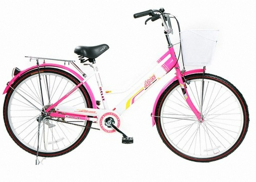 자전거 종류 - 자전거 종류 : 여성용자전거