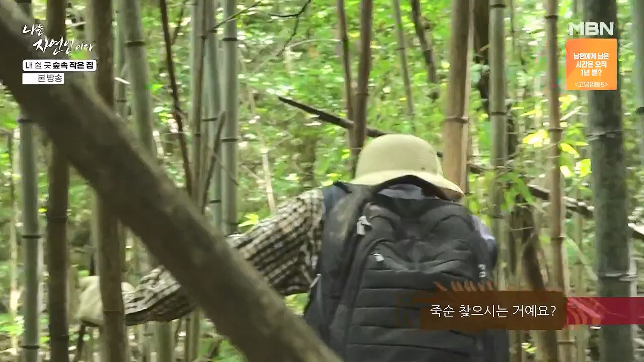 나는 자연인이다.E613.240711p-NEXT.mp4_20240711_195300.975.jpg