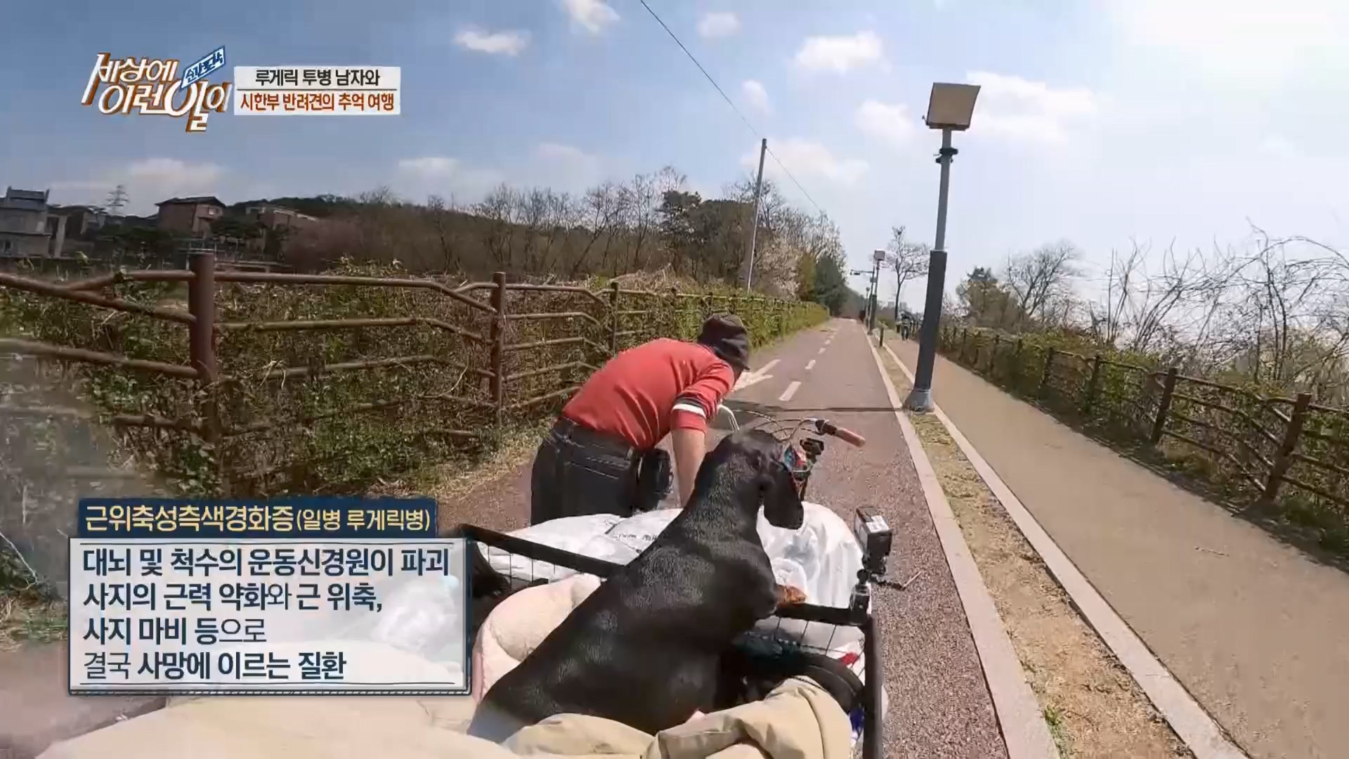 순간포착 세상에 이런일이.E1226.230418p.H264-F1RST.mp4_20230419_195512.567.jpg