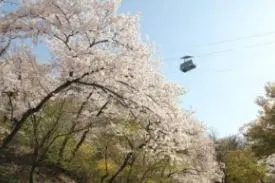 남산공원-북부우회도로-2