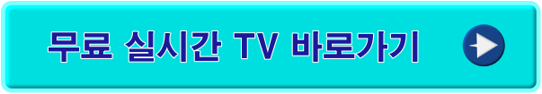 무료 실시간 TV바로가기