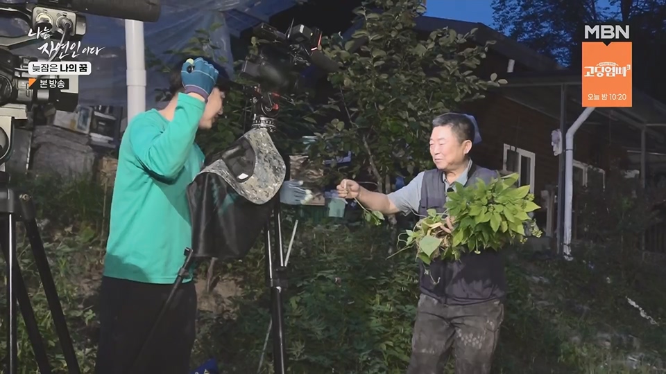 나는 자연인이다.E561.230705p.H264-F1RST.mp4_20230706_213042.493.jpg
