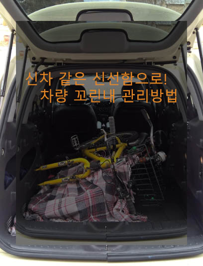 신차 같은 신선함으로! 차량 꼬린내 관리방법