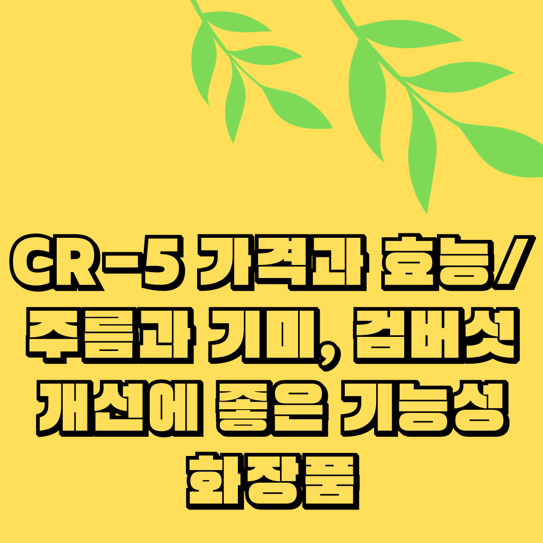 CR-5 가격