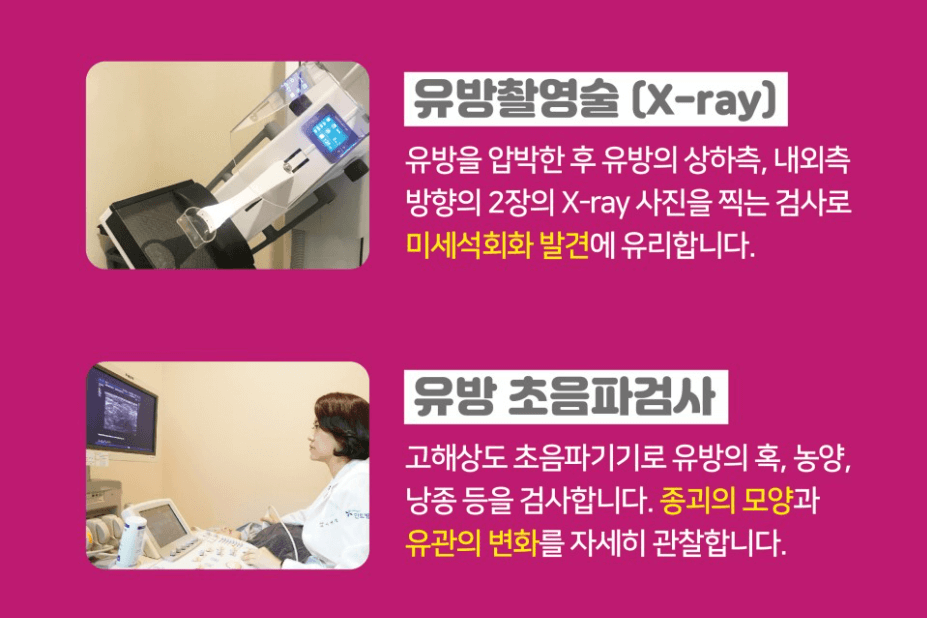 유방암 초기증상 검사비용 유방암 자가진단