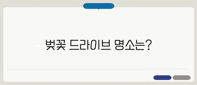 벚꽃 드라이브 명소 추천! 전국 벚꽃길 BEST 7