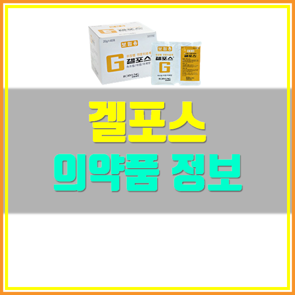  겔포스 효능 가격