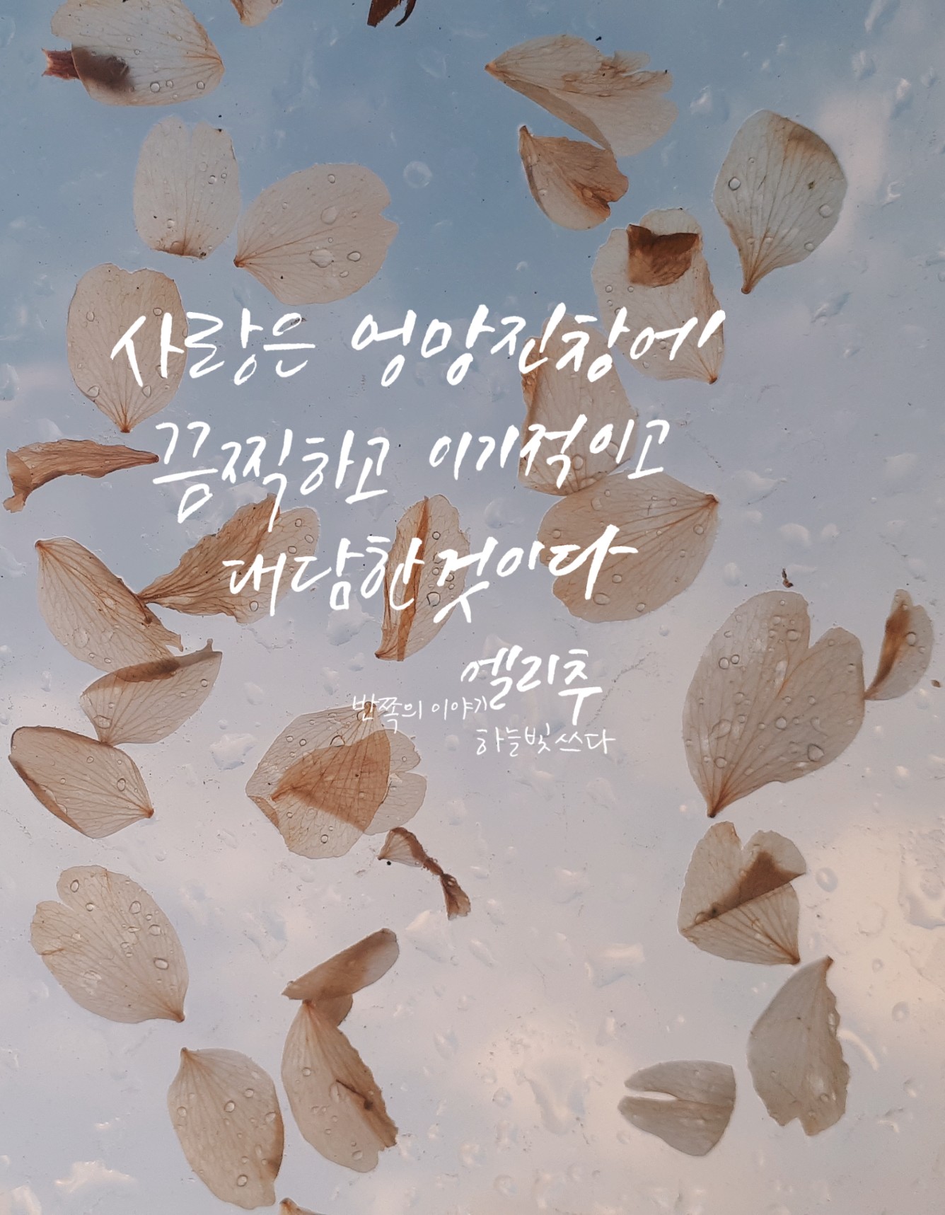  [넷플릭스_반쪽의이야기]영화 엘리추가 말하기를..