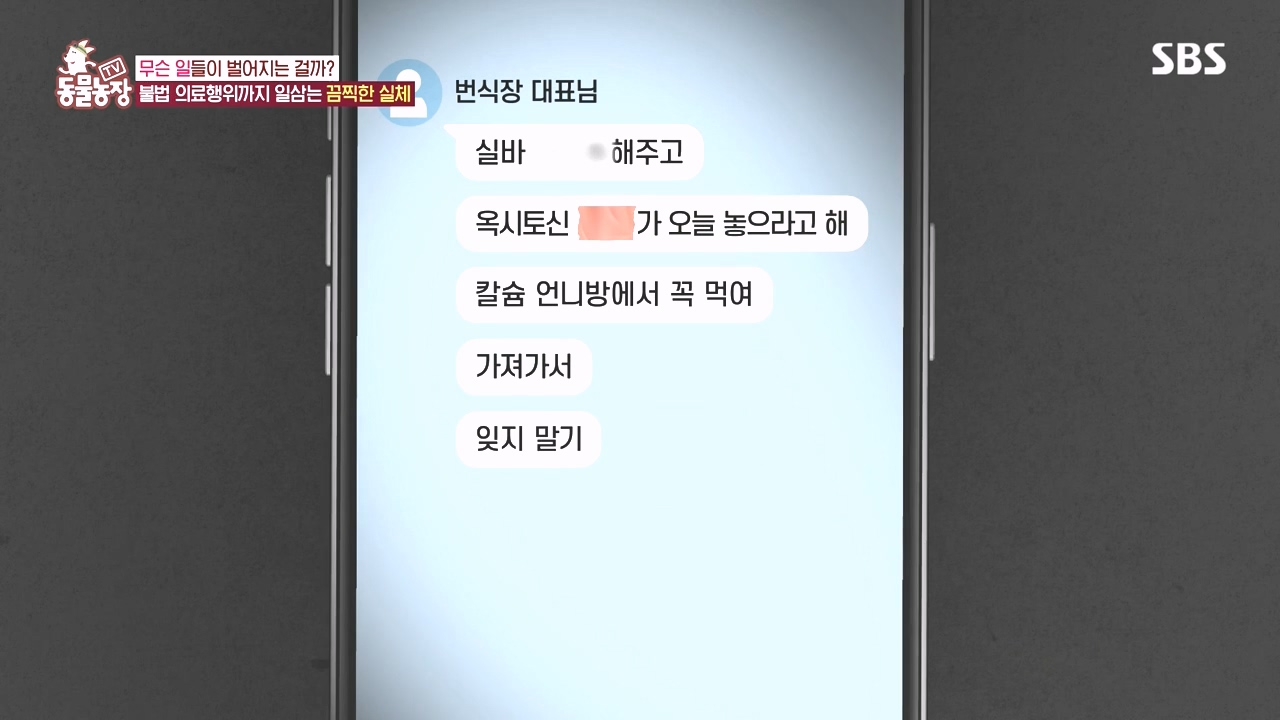 TV 동물농장.E1142.231023p-NEXT.mp4_20231022_172410.751.jpg