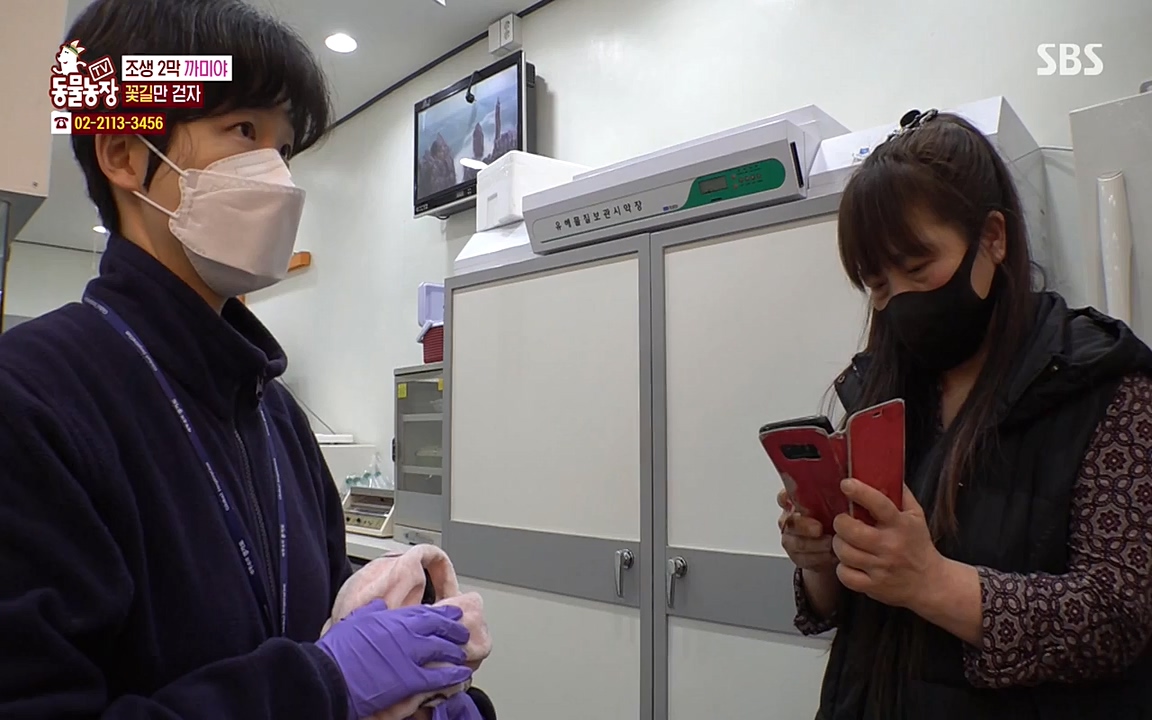 TV 동물농장.E1065.220418p-NEXT.mp4_20220417_181304.494.jpg