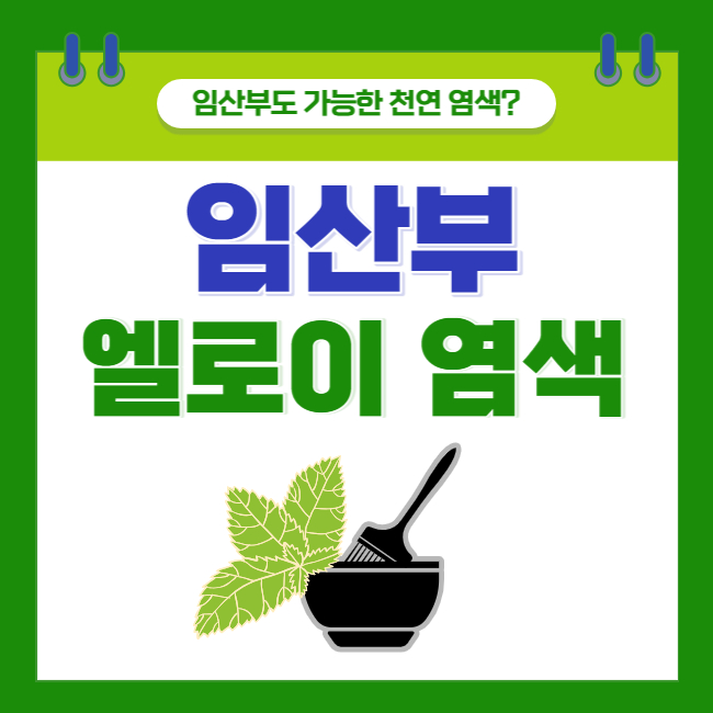  <임산부 엘로이 염색 내돈내산 후기> 임산부도 가능한 천연 염색