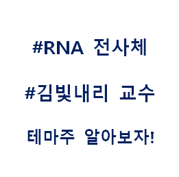  RNA  SAMiRNA 김빛내리교수 테마주 관련주 대장주 수혜주