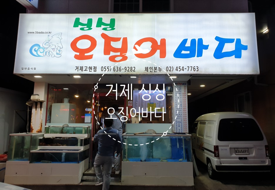 오징어바다 이미지