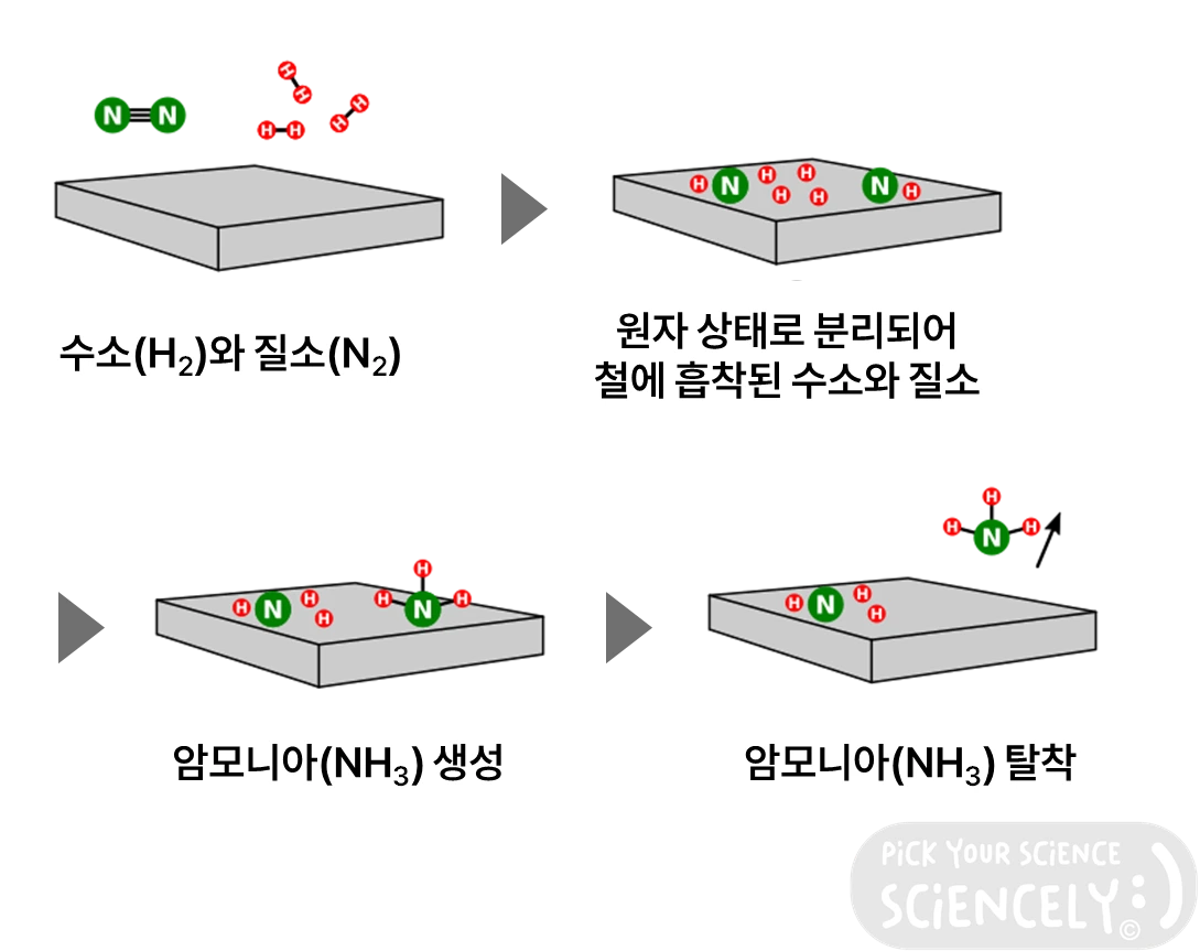 암모니아 합성, 철, 촉매, 수소, 질소