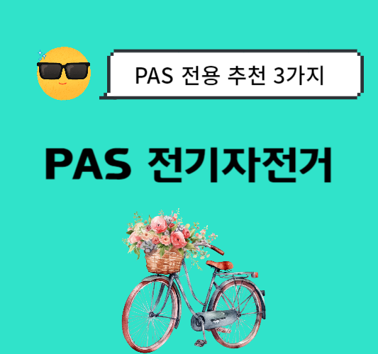 PAS-전기자전거-추천