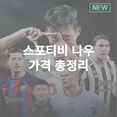  스포티비 나우 가격 및 편성표 총정리