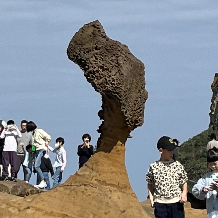 홍봉투어 이미지