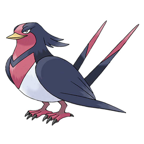  [포켓몬도감]  No. 277 스왈로 Swellow #277