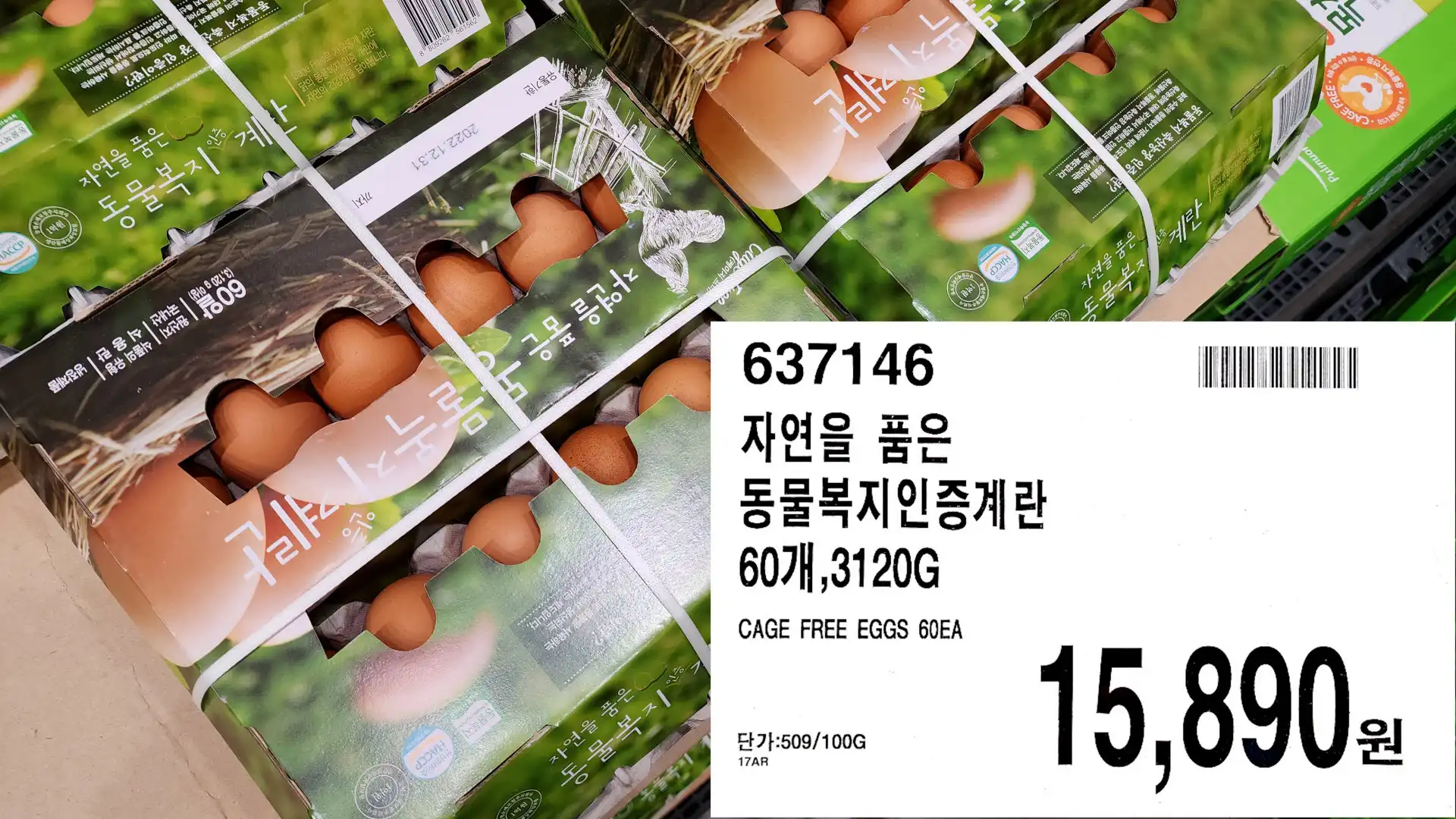 자연을 품은
동물복지인증계란
60개&#44;3120G
CAGE FREE EGGS 60EA
단가:509/100G
15&#44;890원