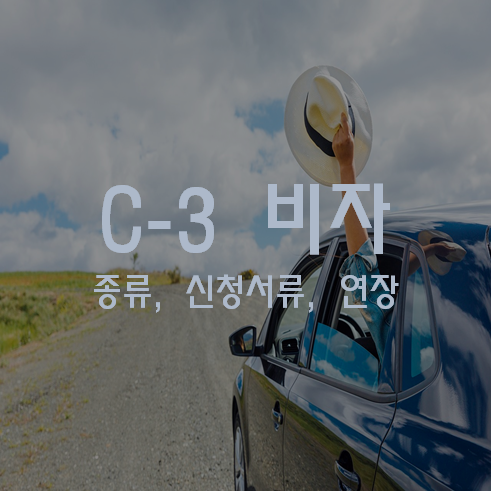 C3 비자