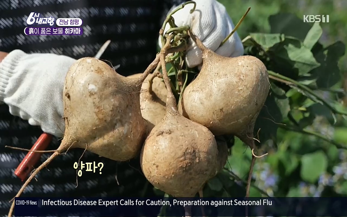 6시 내고향.E7617.220915p.H264-F1RST.mp4_20220916_204619.602.jpg