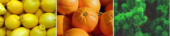 레몬-오렌지-솔잎
