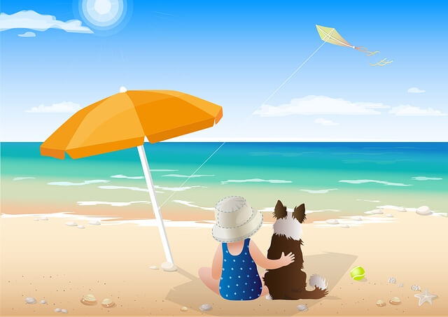 여행온 해변에서 강아지와 아이가 바다를 바라보는 모습