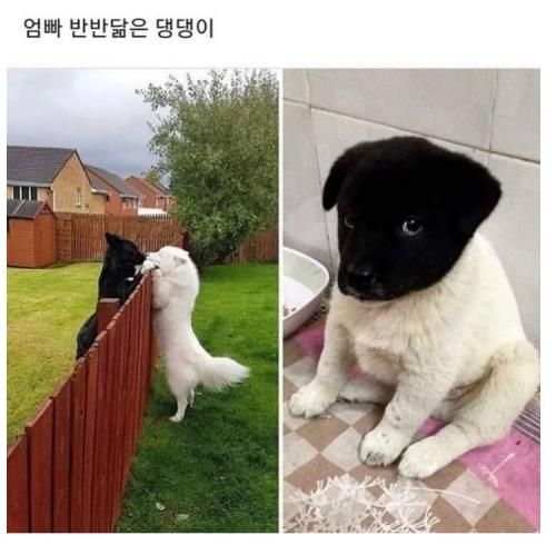  [웃는하루]반반 ㅋㅋㅋㅋ