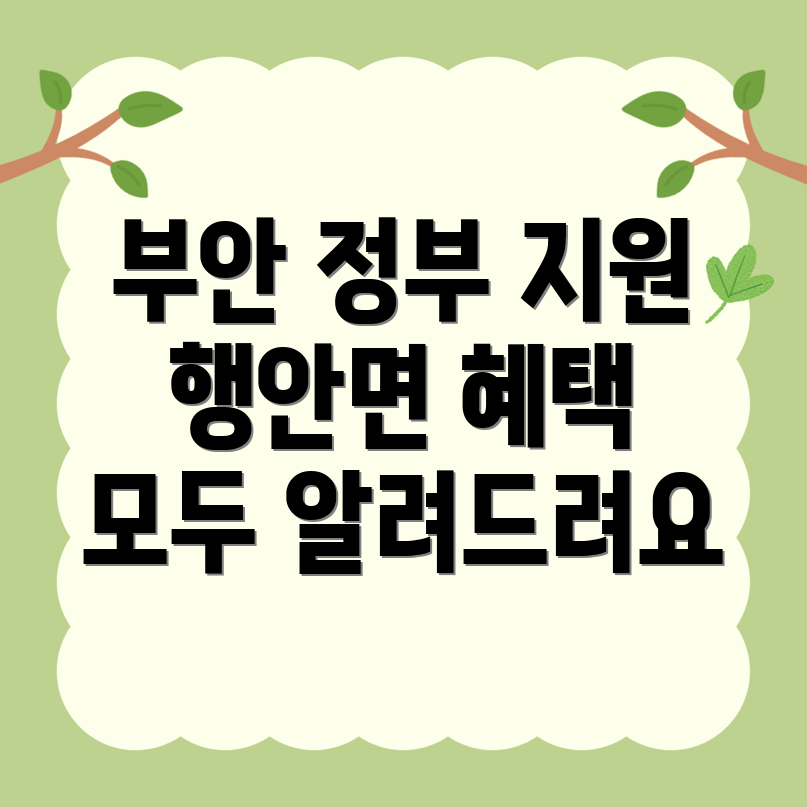 정부지원금