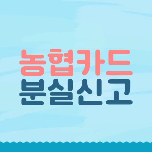 농협카드 분실신고