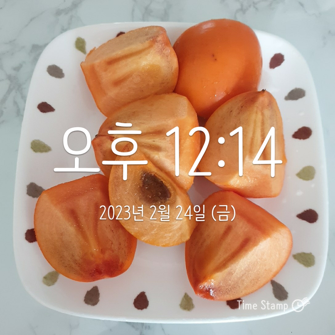  단감, 곶감, 대봉 영양 성분 알아봅니다