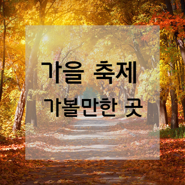  가을 축제 가볼만한 곳 추천