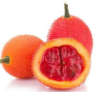 걱(Gac fruit) 과일