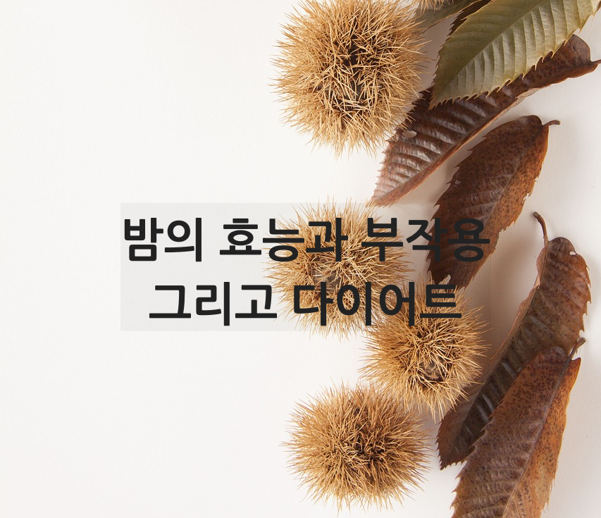  알밤, 밤의 효능과 부작용. 칼로리는? 다이어트에 좋을까?
