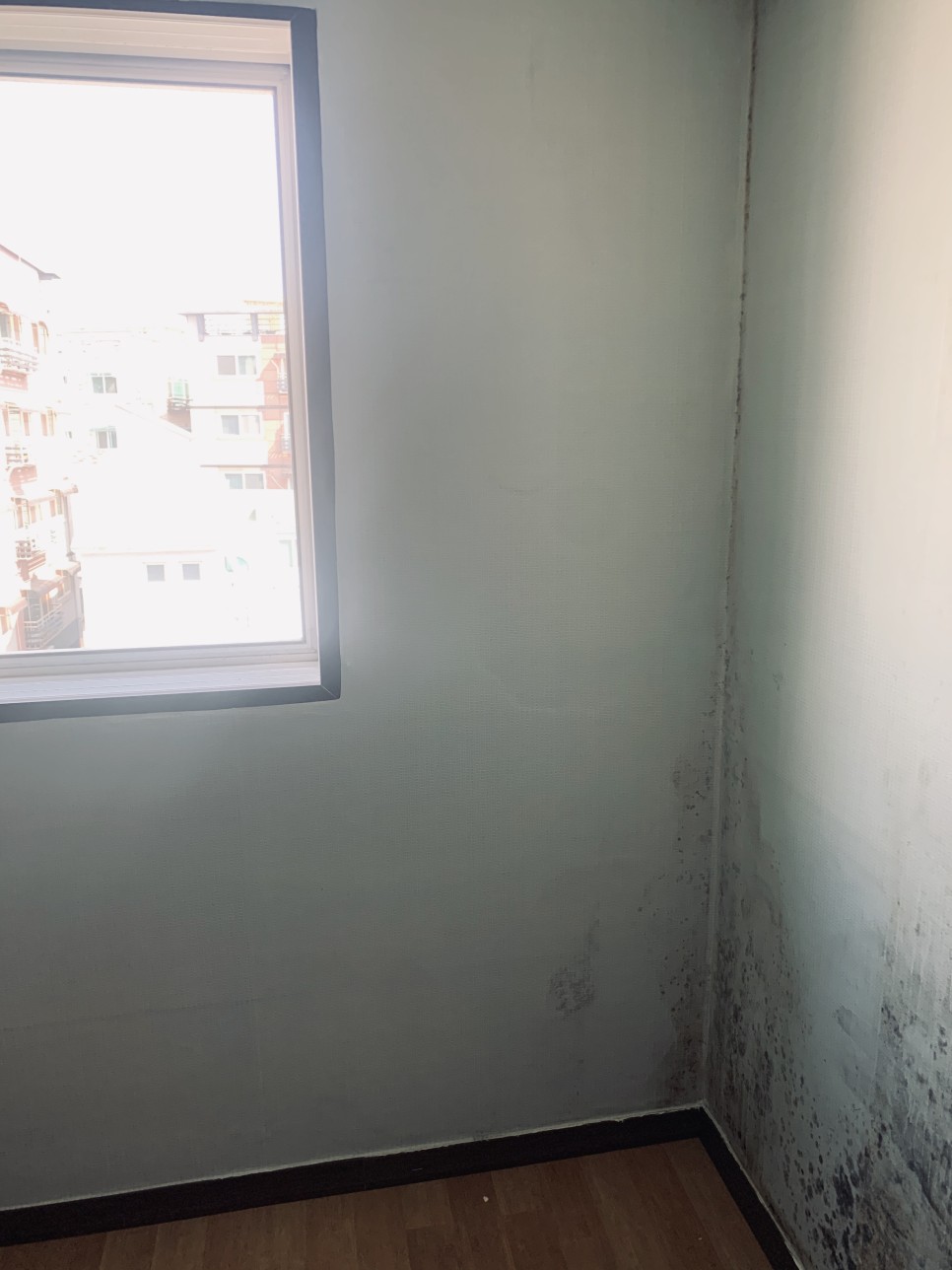 벽지곰팡이 제거 4