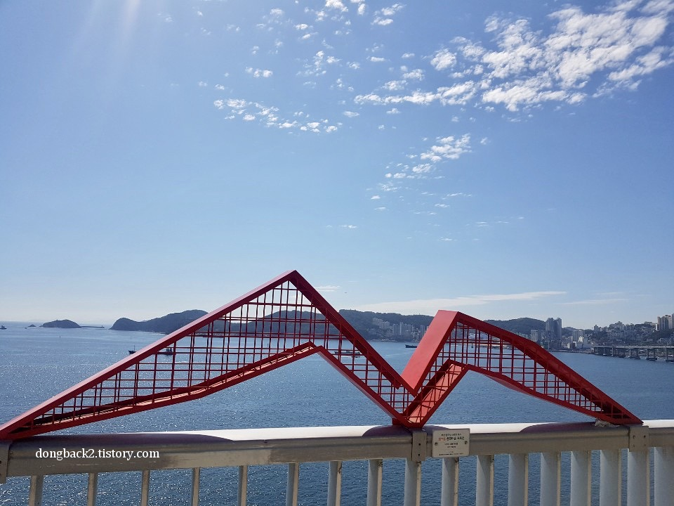  부산 사는 동백이