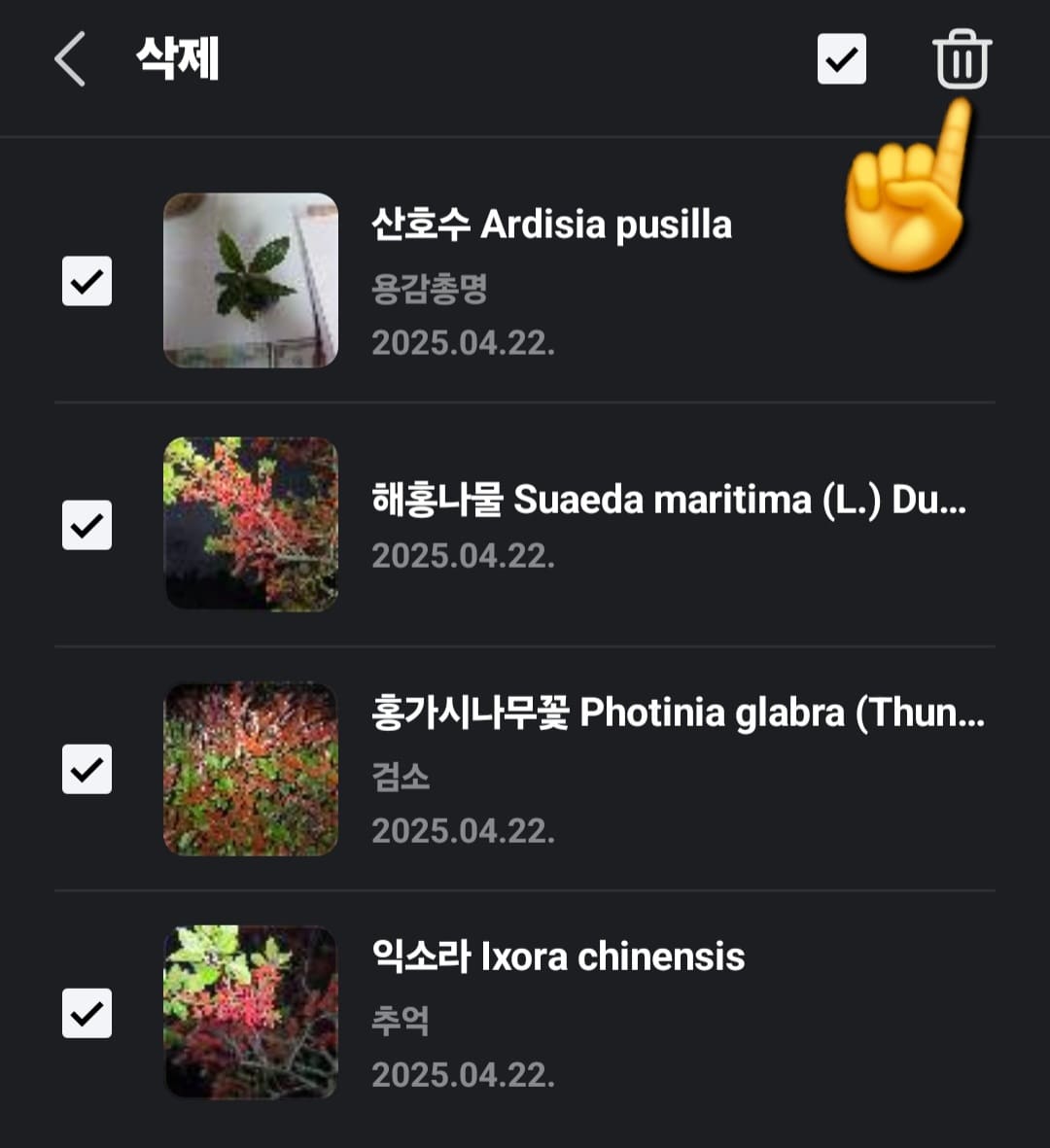 다음(Daum)-꽃검색-방법-안내-다시-휴지통-모양을-누르면-삭제할-수-있습니다.