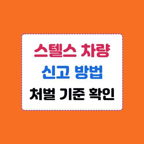 스텔스차량 신고 방법 및 범칙금 처벌 기준 이미지