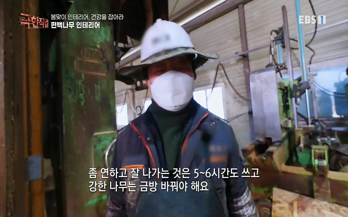 TV - 교육의 중심 EBS봄맞이 인테리어, 천연 소재로 건강을 잡아라.mp4_20220514_192322.698.jpg