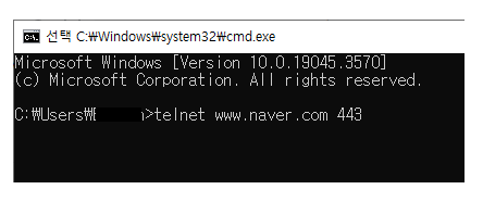 텔넷 도메인 사용