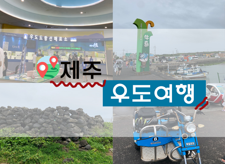  제주 우도 당일치기여행 : 비맞으면서 사이트카타기(+종달항 및 성산항 비교/배시간 등)