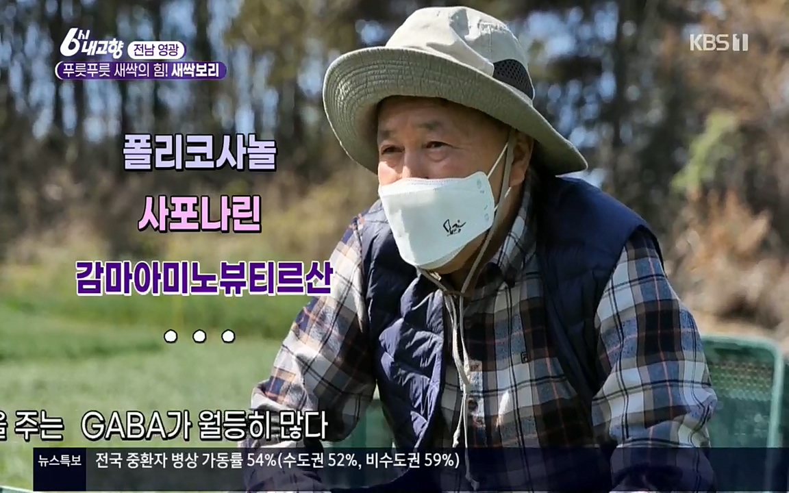 6시 내고향.E7510.220414p.H264-F1RST.mp4_20220419_182547.795.jpg