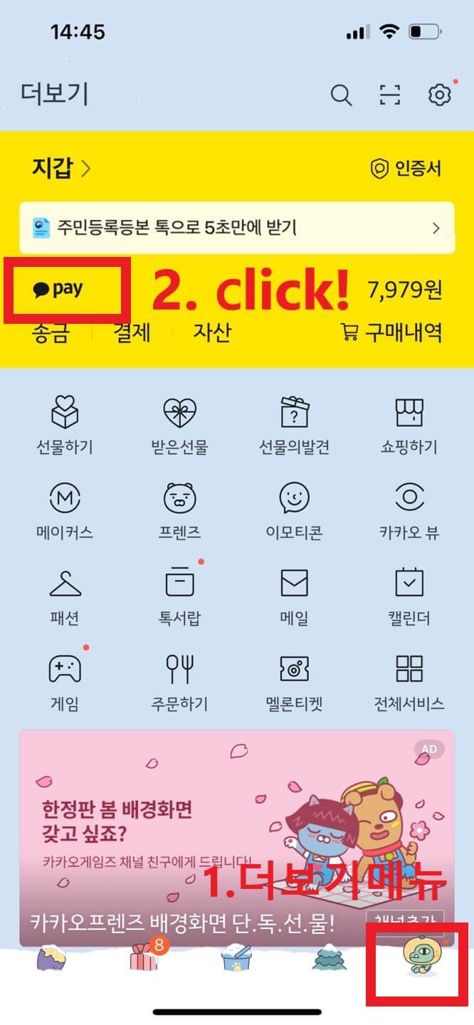 카카오페이 정책지원금 알림서비스 신청방법, 활용팁