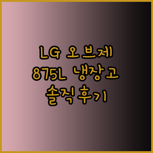 LG 오브제 냉장고 875L 사용후기