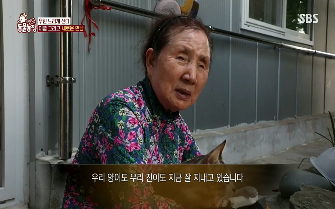 TV 동물농장.E1076.220704p.H264-F1RST.mp4_20220703_175613.822.jpg
