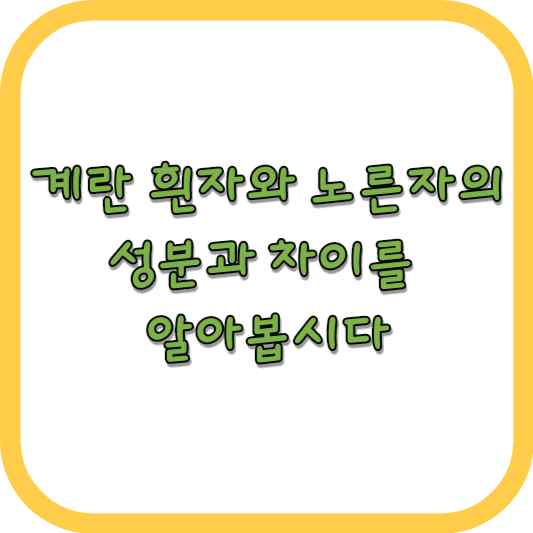 계란 흰자와 노른자의 성분과 차이를 알아봅시다