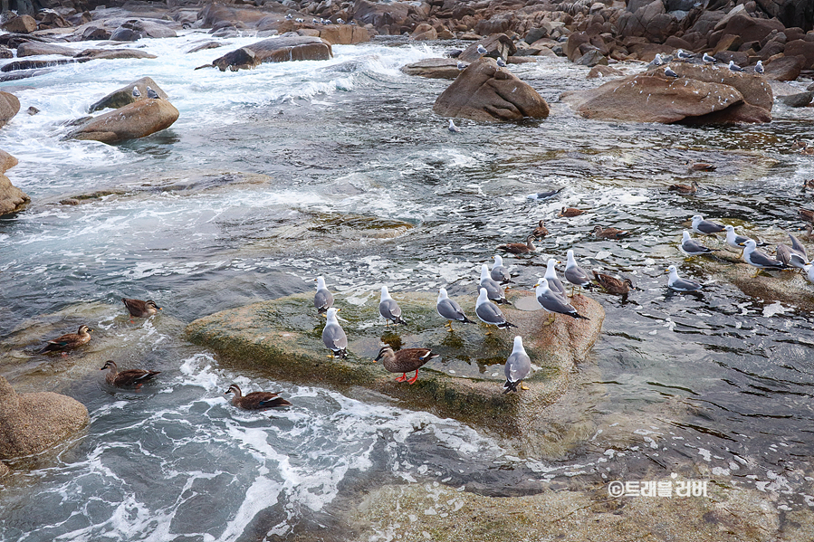 동해바다 볼거리 양양 휴휴암 2