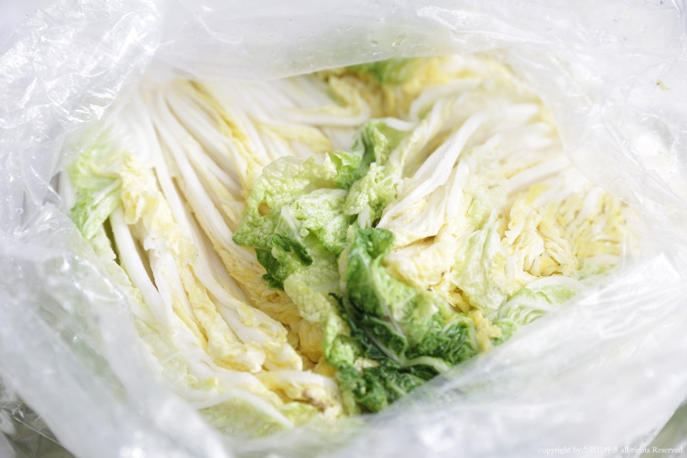 짠맛 김장봉투로 간단하게 속이 꽉 찬 배추절임 배추절임 시간 14