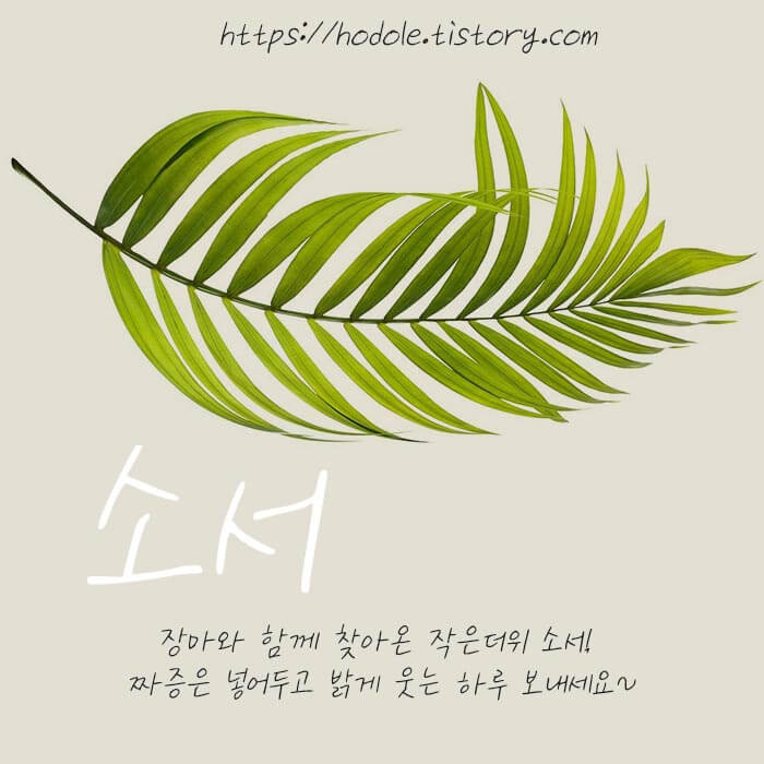 안부인사이미지