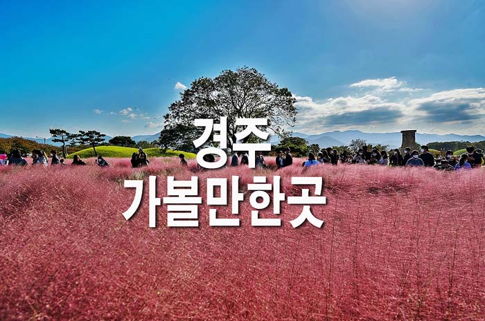  경주 가볼만한곳 베스트10(+경북 여행지 추천)